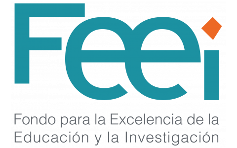 LOGO de FEEI Paraguay